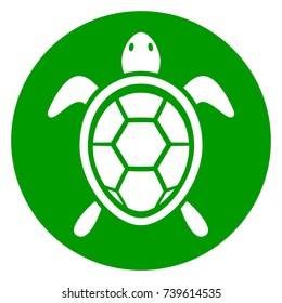 Illustration of turtle green circle icon