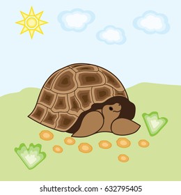 Illustration of a turtle on a background of grass and sky.