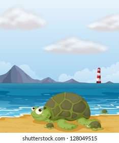 Illustration of a turtle in the shore