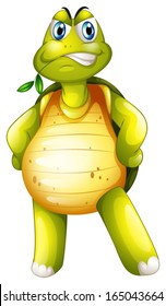 Illustration of a turtle standing alone on a white background