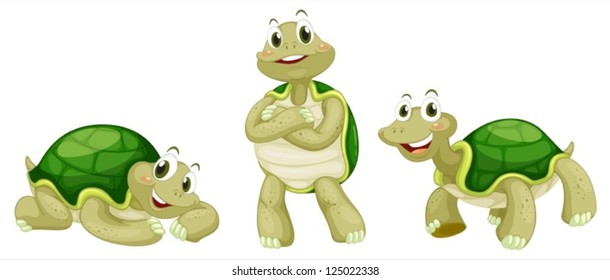 Illustration of turtles on a white background