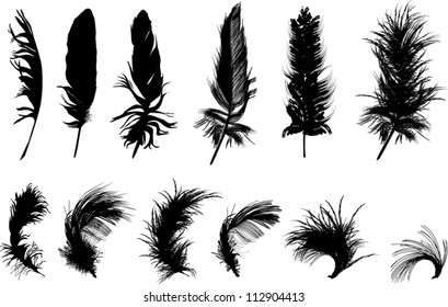 illustration with twelve black feathers isolated on white background