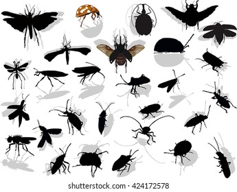 illustration with twenty eight insects isolated on white background