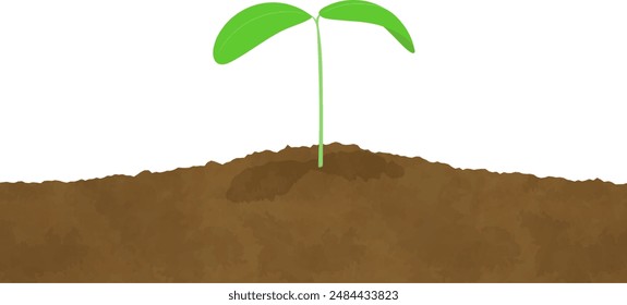 Illustration of twin leaves growing on soil