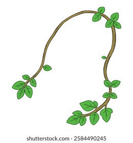 Illustration of a Twisting Ivy Vine with Small Green Leaves, Ideal for Floral and Decorative Uses A delicate ivy vine curling elegantly, its small green leaves adding a fresh and earthy feel.