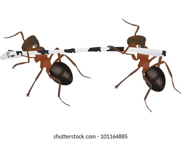 ilustración con dos hormigas portadoras