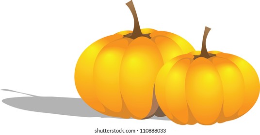 Illustration of two beautiful pumpkins, vector