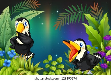 Illustration of two birds at the rainforest