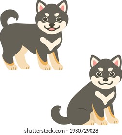 Illustration of two black haired Shiba Inu puppies