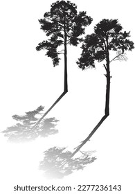 Illustration mit zwei schwarzen Piniensilhouetten einzeln auf weißem Hintergrund