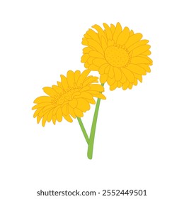 illustration of two blooming sunflowers
