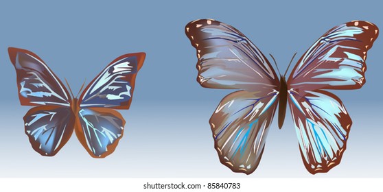 illustration with two blue butterflies