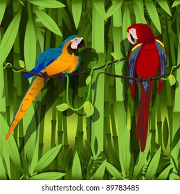 illustration, two bright parrot on a branch of liana