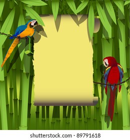 illustration, two bright parrot on a branch of liana