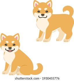 Illustration of two brown shiba inu puppies