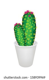 An Illustration of Two Cactus Plant and Flower in Flowerpot for Garden Decoration, Isolated on White Background 