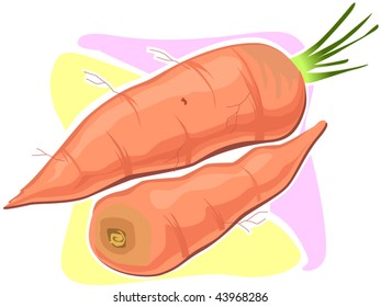 Illustration of two carrot	