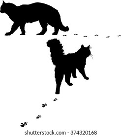 ilustración con dos siluetas de gato aisladas en fondo blanco