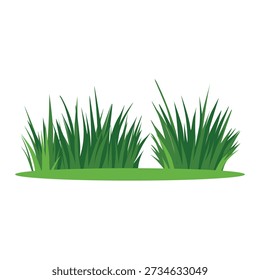 Illustration of two clumps of green grass on a light green patch against a white background.