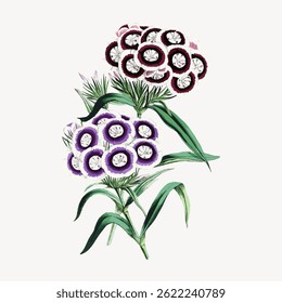 Illustration of two clusters of flowers with circular patterns in purple and pink, surrounded by green leaves on a light background. Vintage flower illustration vector.