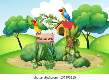 Illustration of the two colorful parrots at the hill near a signboard