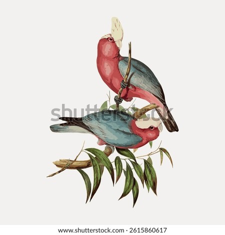 Illustration of two colorful parrots perched on branches. The parrots have vibrant feathers and are surrounded by green leaves. Parrots in a natural setting. Vintage bird illustration, animal vector.