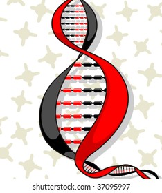 Illustration of two colour of DNA model	