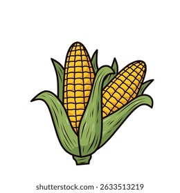 illustration of two corn cobs side-by-side with fresh green husks. Ideal for farm market branding, food packaging, or agriculture-themed content