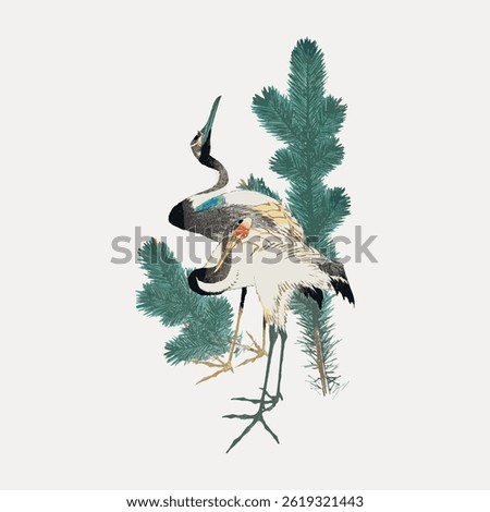 Illustration of two cranes standing gracefully among green pine trees. The cranes are elegantly posed, showcasing their long necks and delicate feathers. Vintage bird illustration, animal vector.
