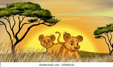 illustration of two cubs in the jungle