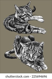 illustration with two cute cats lying on a brown background       