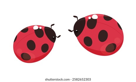 Illustration of two cute ladybugs