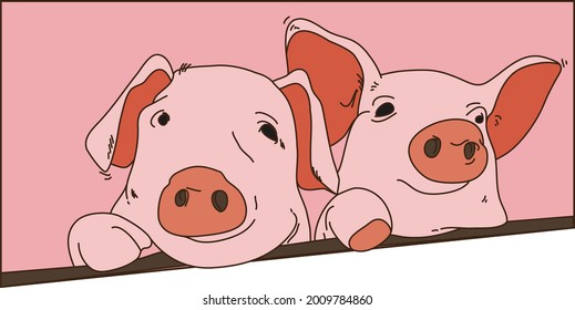 illustration two cute pink baby pig 