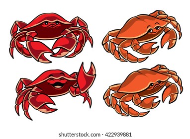 Illustration of two cute red and orange crabs