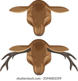 Illustration of two deer heads from above