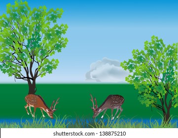 illustration with two deers and green trees