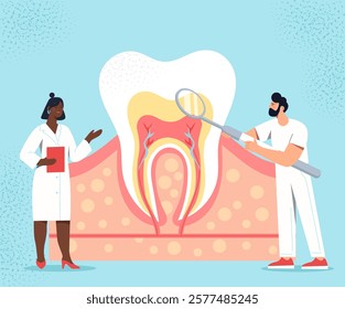 Illustration of two dentists examining a cross-section of a tooth with visible nerves and enamel, on a light blue background. Dental health concept. Vector illustration