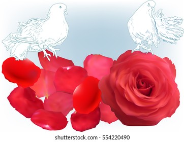 ilustración con dos palomas y rosa rojo