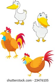 illustration of two ducks and chicken
