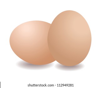 Illustration of two eggs isolated on white background