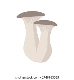 Illustration of two eringii lined up
