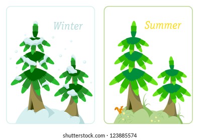 illustration of two fir trees in the winter and in the summer of the same tree