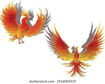 illustration with two fire phoenixes isolated on white background