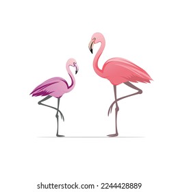 Ilustración de dos flamencos sobre una pierna