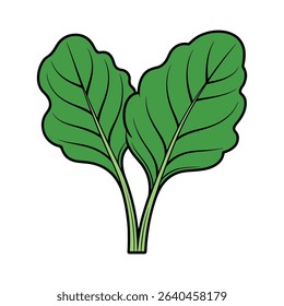 Illustration of two fresh green beet leaves