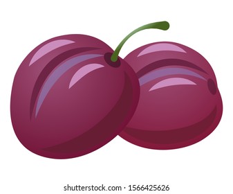 illustration of the two fresh plums on the white background