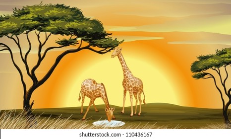 illustration of two giraffe in the jungle
