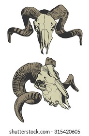 Illustration with two goat skulls. Hand drawn. Vector.