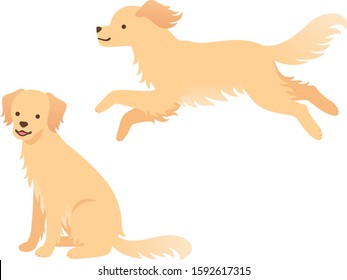 Illustration of two golden retrievers (running and sitting)