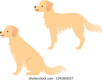 Illustration of two golden retrievers (sitting and standing sideways)